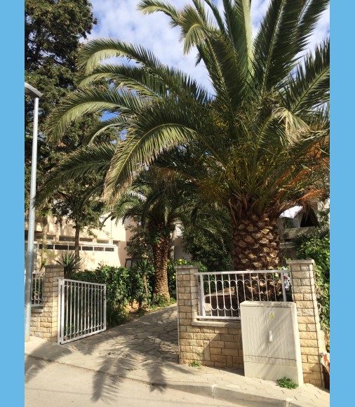 APARTMANI VANJA NOVALJA OTOK PAG